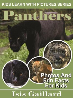 cover image of Panthers Photos and Fun Facts for Kids